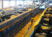 07_china_molochniki_2011