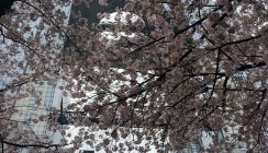20160404_095205
